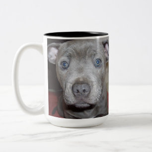 Tasse 2 Couleurs Face D'Un Chiot De Staffordshire Bull Terrier,