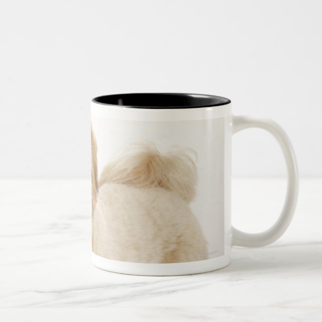 Tasse 2 Couleurs Familiaris de Canis (Droit)