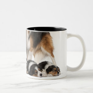 Tasse 2 Couleurs Famille de border collie