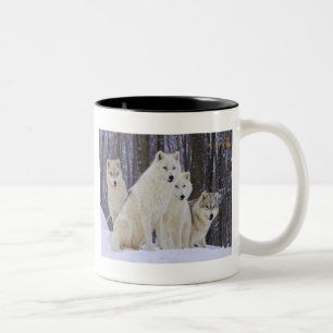 Tasse 2 Couleurs Famille de loup