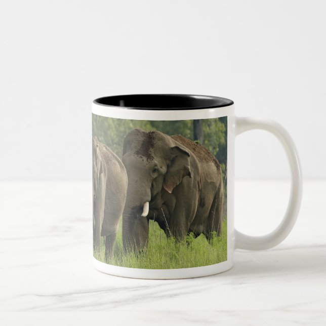 Tasse 2 Couleurs Famille d'éléphants indiens (Droit)