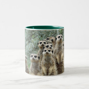 Tasse 2 Couleurs Famille Meerkat 01