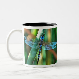 Tasse 2 Couleurs Fantasy Dragonfly