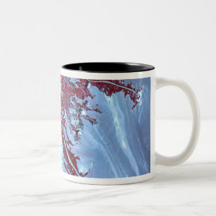 Tasse 2 Couleurs Faux satellite
