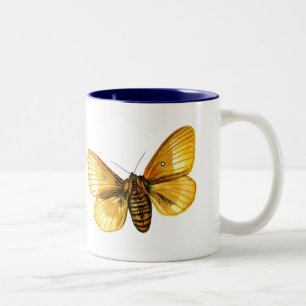 Tasse 2 Couleurs femelle de Bombyx quercus