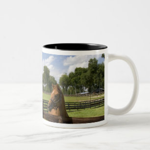 Tasse 2 Couleurs Ferme de chevaux pur-sang dans le comté de Marion,