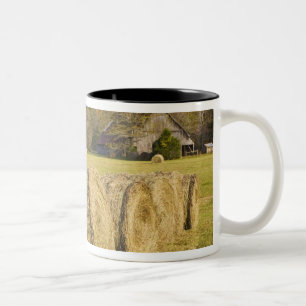 Tasse 2 Couleurs Ferme historique dans la rivière nationale Buffalo