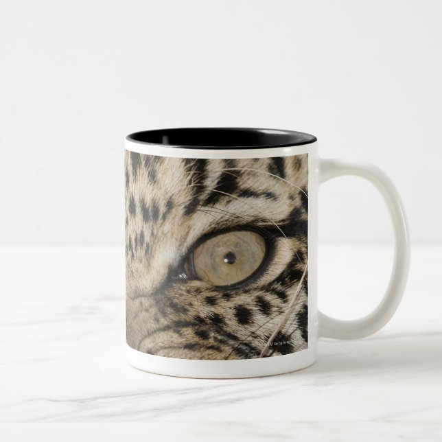Tasse 2 Couleurs Fermez-vous du léopard grognant (Droit)
