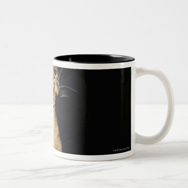 Tasse 2 Couleurs Fermez-vous du léopard, un plus grand (Droit)