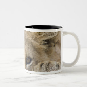 Tasse 2 Couleurs Fermez-vous du visage de petit animal de lion