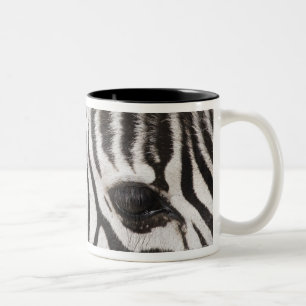 Tasse 2 Couleurs Fermez-vous du zèbre