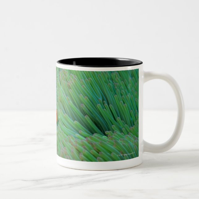 Tasse 2 Couleurs Fermez-vous d'un poisson d'anémone de clown, (Droit)