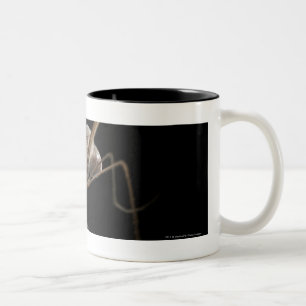 Tasse 2 Couleurs Fermez-vous vers le haut de mordre du moustique 3d