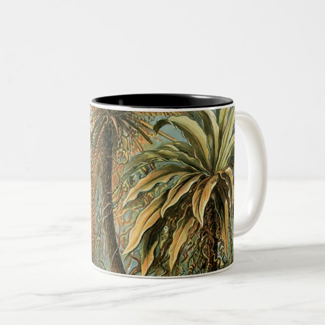 Tasse 2 Couleurs Ferns Palm Tree Antiquité Botanique Ferns Art (Devant droit)