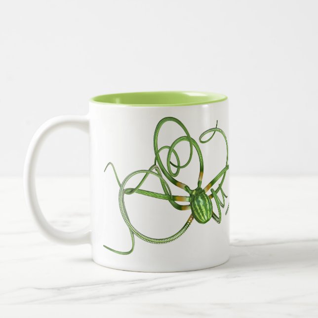 Tasse 2 Couleurs Fête nationale de la pastèque (Gauche)