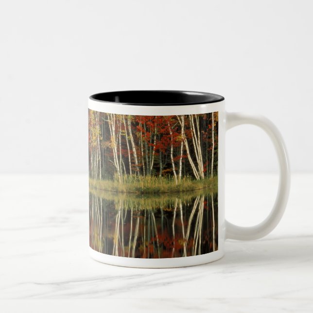 Tasse 2 Couleurs Feuillage d'automne et reflets de bouleau; Hiawath (Droit)