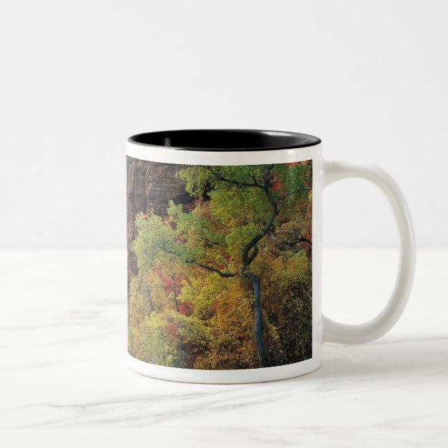 Tasse 2 Couleurs Feuillage d'automne le long de la rivière Virgin p (Droit)