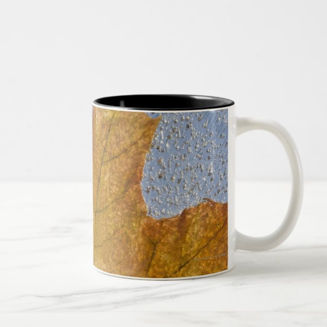 Tasse 2 Couleurs Feuille d'érable jaune sous l'eau (Droit)