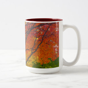 Tasse 2 Couleurs Feuilles d'automne de la photo jaune et orange