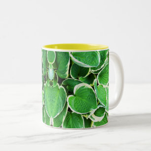 Tasse 2 Couleurs Feuilles verts d'un Hosta