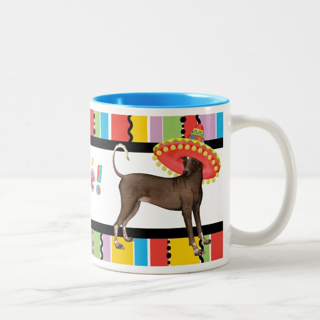 Tasse 2 Couleurs Fiesta Xolo (Droit)