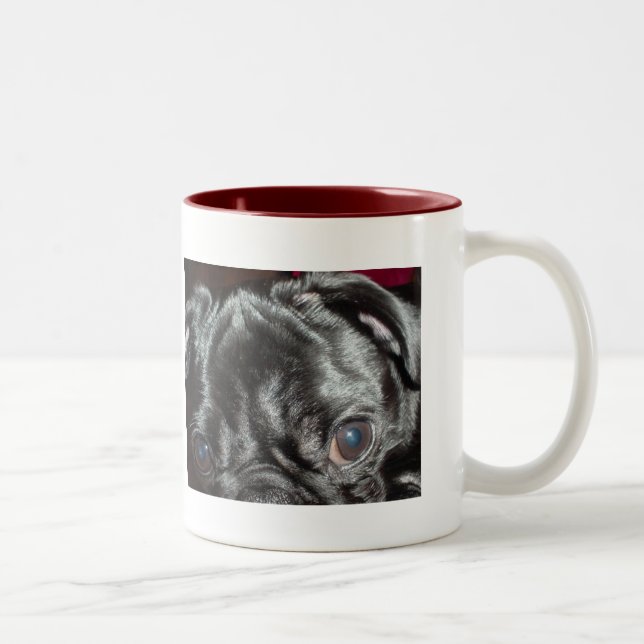 Tasse 2 Couleurs -Fin de carlin - "ici vous regarde " (Droit)
