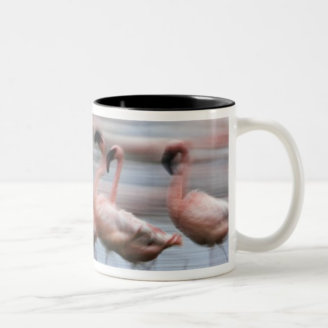 Tasse 2 Couleurs Flamants roses en mouvement, Phoenicopterus (Droit)
