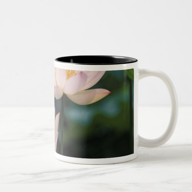 Tasse 2 Couleurs Fleur de lotus en fleurs, Chine (Droit)