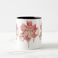 Fleur rouge vintage dessin de Samuel Colman