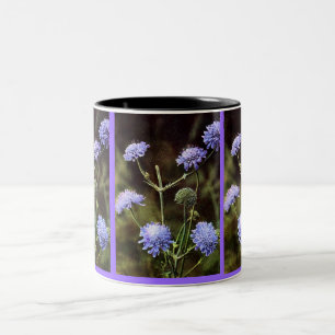 Tasse 2 Couleurs Fleur sauvage : Champ Scabious
