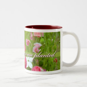 Tasse 2 Couleurs Fleurissez où vous sont plantés, les pavots roses