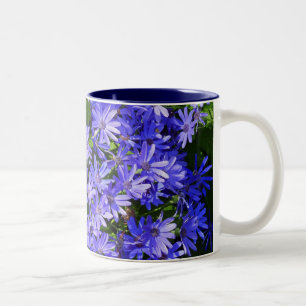 Tasse 2 Couleurs Fleurs bleues à la marguerite Nature Photographie