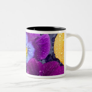Tasse 2 Couleurs Fleurs de pensée flottant dans un bain d'oiseau av