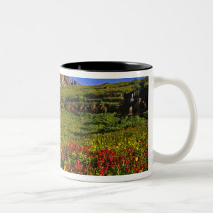 Tasse 2 Couleurs fleurs sauvages alpins au col Logan dans le glacie