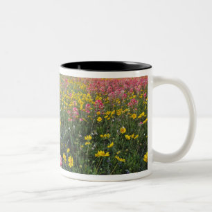 Tasse 2 Couleurs Fleurs sauvages au bord de la route au Texas, prin
