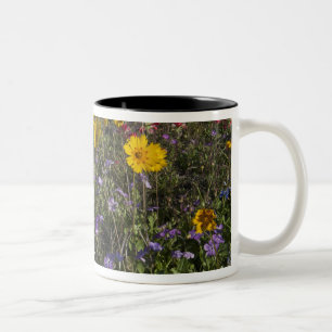 Tasse 2 Couleurs Fleurs sauvages au bord de la route au Texas, prin