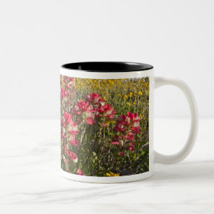 Tasse 2 Couleurs Fleurs sauvages au bord de la route au Texas, prin