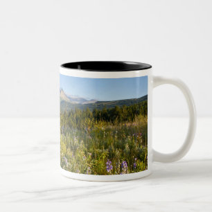 Tasse 2 Couleurs Fleurs sauvages de la prairie et lac Lower Two Med