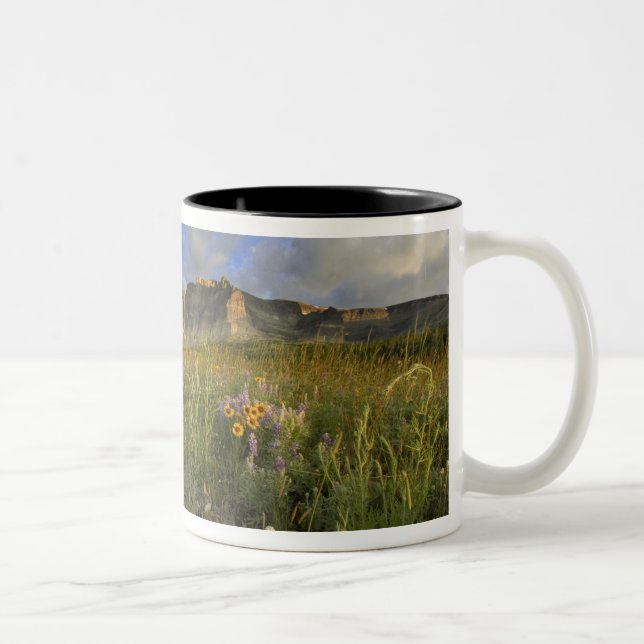 Tasse 2 Couleurs Fleurs sauvages des Prairies au ruisseau Windy dan (Droit)