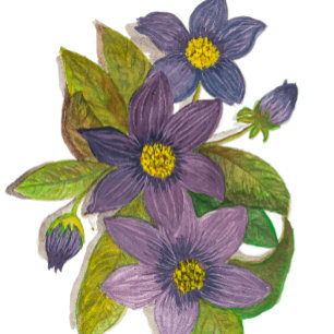 Tasse 2 Couleurs fleurs violettes