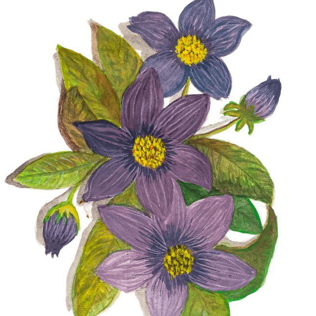 Tasse 2 Couleurs fleurs violettes (Créateur téléchargé)