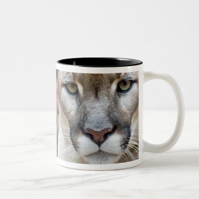 Tasse 2 Couleurs Floride Panther (Droit)