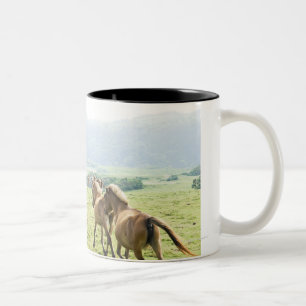 Tasse 2 Couleurs Fonctionnement de chevaux
