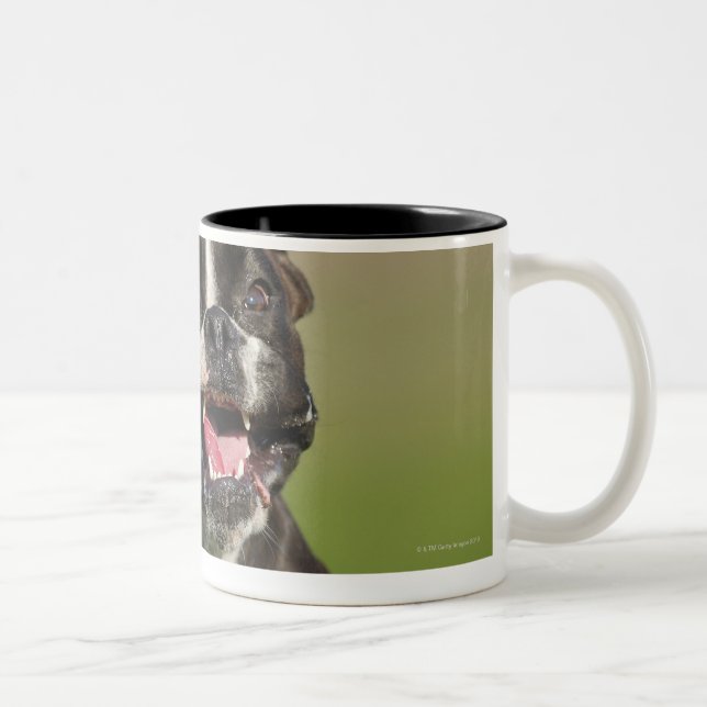 Tasse 2 Couleurs Fonctionnement de chien (Droit)