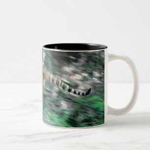 Tasse 2 Couleurs Fonctionnement de tigre