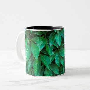 Tasse 2 Couleurs fond de haie verte parthenocissus motif texte