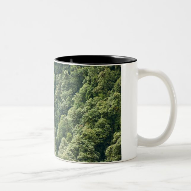 Tasse 2 Couleurs Forêt d'Himalaya dans la vallée de Mangdue, Bhouta (Droit)