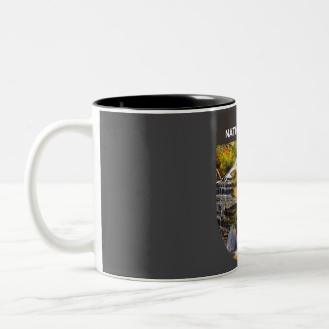 Tasse 2 Couleurs Forêt nationale d'été - Caroline du Sud (Gauche)