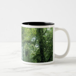 Tasse 2 Couleurs Forêt nuageuse de Monteverde, Costa Rica.