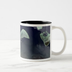 Tasse 2 Couleurs Forêt verte profonde sur terre